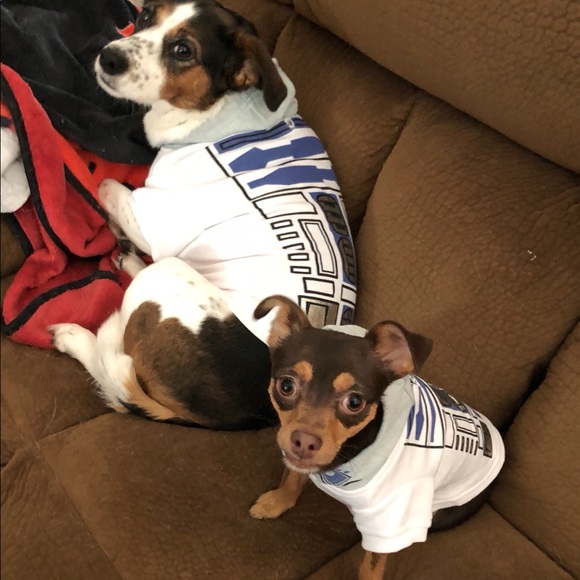 Meet your Posher, Danielle - Picture 14 of 16